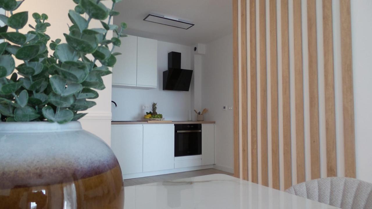 Apartments L-A-M بودْسْتغانا المظهر الخارجي الصورة